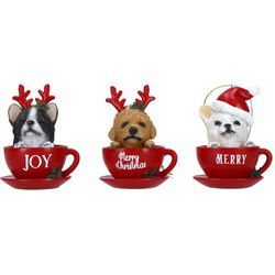 Ornaments dog in cup 3 ass poly