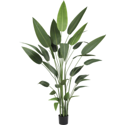 Hoyz Greenery - Kunstplant Heliconia 210 cm