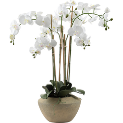 Witte kunstmatige orchidee samenstelling H86