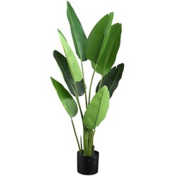 PTMD Kunstplant Strelitzia - 77x56x117 cm - Polyester - Groen