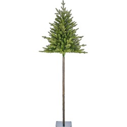 Torrey x-mas tree green TIPS 420 - h230xd84cm