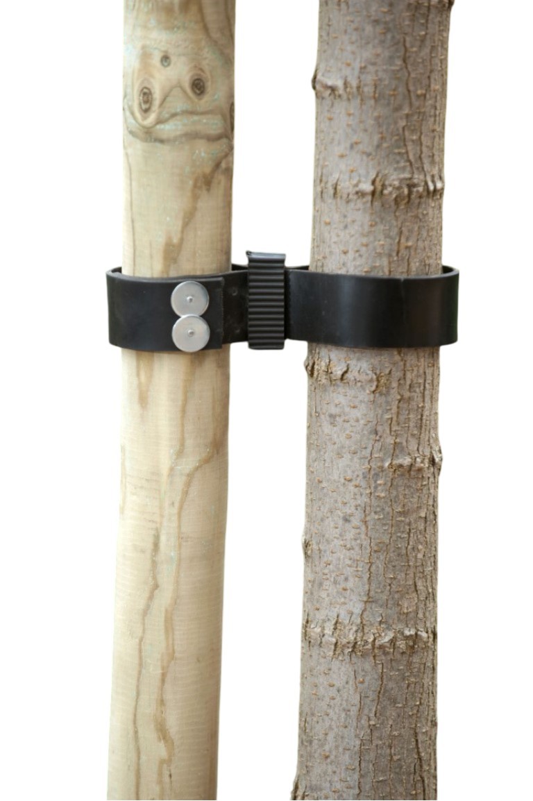 Spijkerboomband breed 90x3,8cm - Nature - 