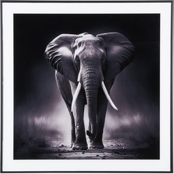 Photo Art Elephant