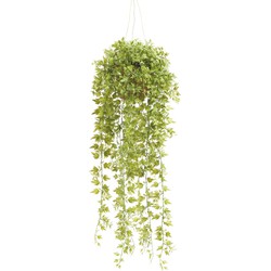 Seidenpflanze Hängende Topfpflanze Efeu Kunstpflanze Kollektion - Driesprong Collection