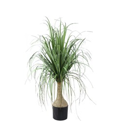 PTMD Kunstboom Coconut - 60x75x98 cm - Polyester - Groen