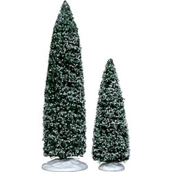 Snowy juniper tree large & medium