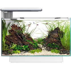 Superfish quadro 40 multi colour wit