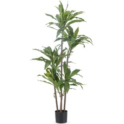 Kunstplant Dracena Fragnans 150 cm | NeverLeafs