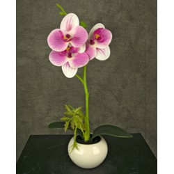 Greenmoods Kunst Orchidee - Phalaenopsis - Nep plant - 1 Stuk - 28cm - Wit/Roze