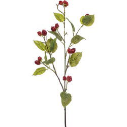 Raspberry spray red 90 cm Emerald