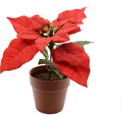 Poinsettia zijde pot d16h14 cm kerstrood