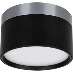 RAKU 12W Ø113mm geborsteld staal + zwart