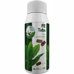 Flora fe tabs 10x