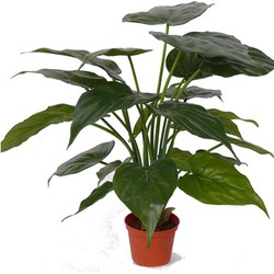 Bellatio flowers & plants Kunstplant - Alocasia olifantenoor - 51 cm - Kunstplanten