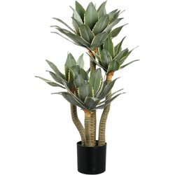 PTMD Kunstplant Succulent Plant - 60x60x115 cm - Polyester - Zwart