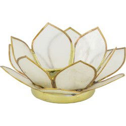 Tealight holder capiz nature diameter 12 x 4 cm