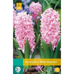 3 stuks - Hyacint Pink Surprise 4 bollen