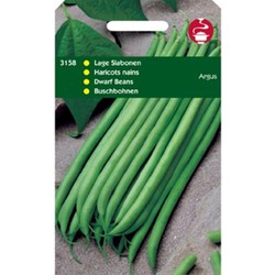 5 stuks - Saatgut Bohnen Haricot Vert Argus 50g - Tuinplus