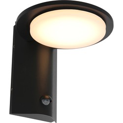LED schotel buitenlamp met sensor Steinhauer Buitenlampen Zwart
