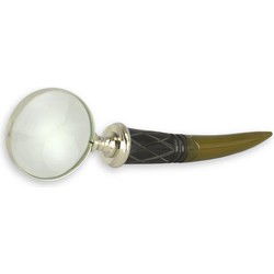 A MAGNIFYING-GLASS