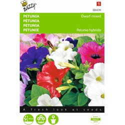 2 stuks - Petunia Hybrida Nana Compacta Gemengd