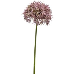 Emerald Allium/Sierui kunstbloem - losse steel - lila - 62 cm - Natuurlijke uitstraling - Kunstbloemen