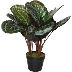 Kunstplant Calathea - Makoyana - voor binnen - 47 cm - Kunstplanten