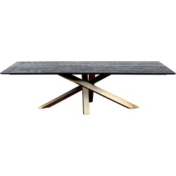 PTMD Alore black gold diningtable rectangle 200 cm