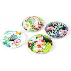 Trendform Magnet Eye - Jungle Bird - set van 4 verschillende