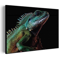Muurwerken Akoestisch Schilderij - De Groene Kameleon - Geluidsdempend Wandpaneel - Wanddecoratie - Geluidsisolatie - BASIC (AW 0.65) XL (120x86)