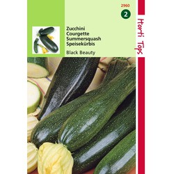 2 stuks - Courgette Black Beauty Verte De Milan - Hortitops