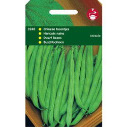 5 stuks - 