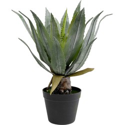 Kunstplant Agave 40cm