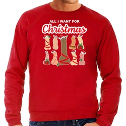 Bellatio Decorations foute kersttrui/sweater voor heren - All I want for Christmas - piemels - rood S - kerst truien