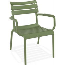 Tuinstoel met armleuningen AROMA 68x70x76 cm Groen