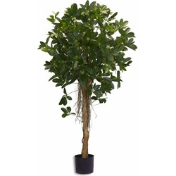 Hoyz Greenery - Kunstplant Schefflera klein blad 150 cm