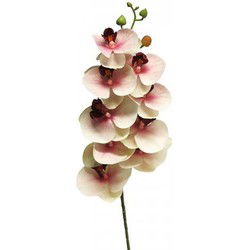 Phalaenopsis Orchidee Bora 77 cm roze kunstbloem