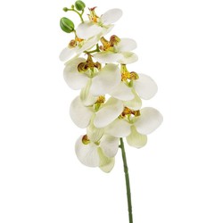 Witte Phaleanopsis vlinderorchidee kunstbloemen 70 cm decoratie - Kunstbloemen