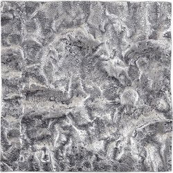 PTMD Wandpaneel Eogan - 50x5x50 cm - Aluminium - Metaal