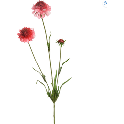 Scabiosasteel l66 cm roze kunstbloem zijde nepbloem