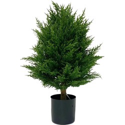 Kunstplant Conifeer deluxe 60 cm UV | NeverLeafs