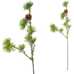 PTMD Twig Plant Pijnboom Kunsttak - 45 x 17 x 90 cm - Groen