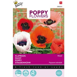 3 stuks - Poppies of the world papaver orientaalse