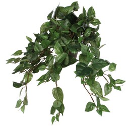 Mica Decorations Scindapsus Kunstplant - 45x25x25 cm - Groen