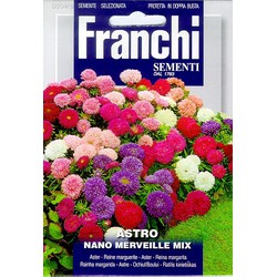 Aster, Astro Nano merveille Mix 304/8 - Franchi