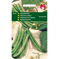5 stuks - 