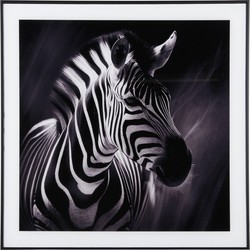 Photo Art Zebra