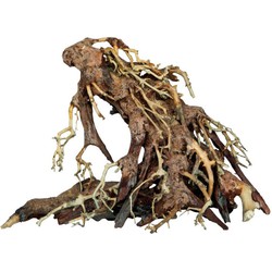 Bonsai root small