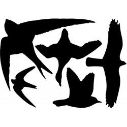 Raamstickers vogels - 10x st - zwart - vogel silhouet stickers - Vogelverjagers
