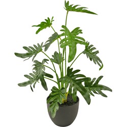 Greenmoods Kunst Philodendron - Philodendron hederaceum - Nep plant - 1 Stuk - 49cm